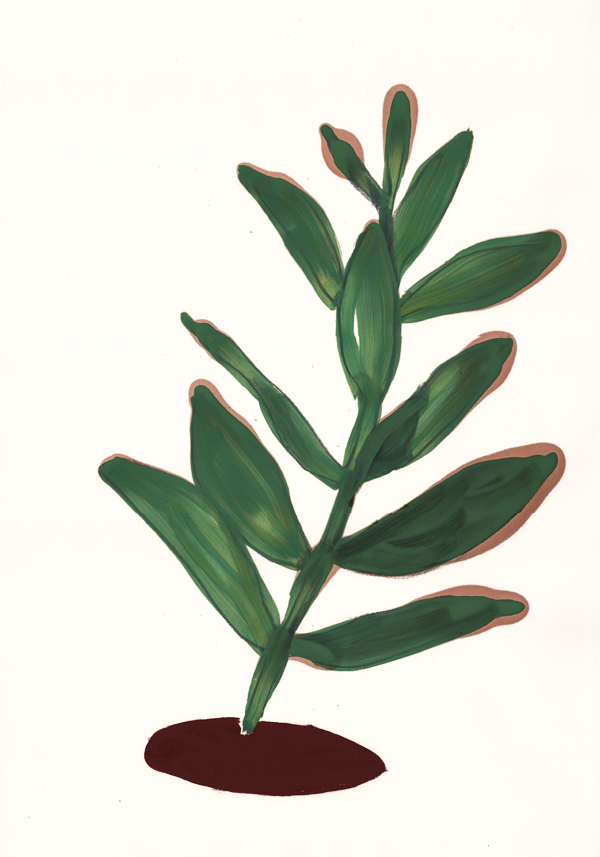 Herborarium – 03/2013 • 60×40